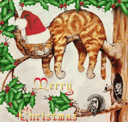 Śpiący rudy kot na drzewie w Boże Narodzenie